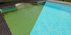 Comment automatiser l'entretien de votre piscine ?