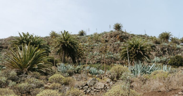 découvrez le dry screed, une chape sèche idéale pour rénover rapidement vos sols. facile à installer, légère et sans temps de séchage, elle offre une excellente isolation et une pose rapide pour tous types d’intérieurs.