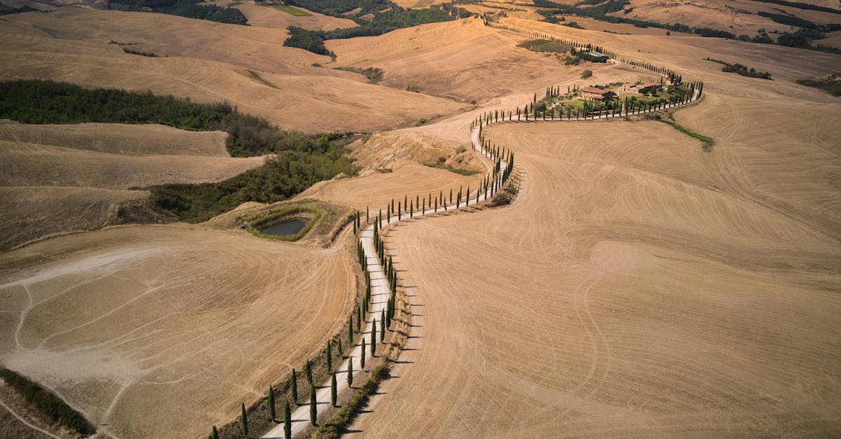 découvrez cypress, l'outil de test automatisé moderne pour développer des applications web fiables et performantes avec facilité.