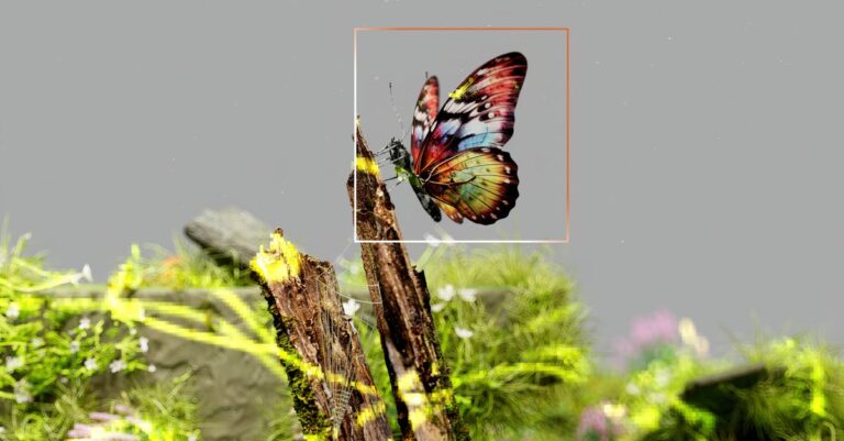 apprenez à identifier facilement les crottes de ragondin avec notre guide complet pour reconnaître leurs caractéristiques et distinguer ces indices en milieu naturel.