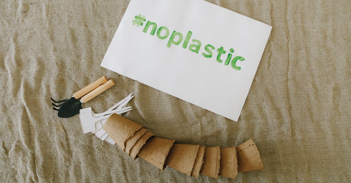 découvrez tout sur la propagation : définitions, méthodes et conseils pour maîtriser les techniques de diffusion, reproduction et transmission, que ce soit en biologie, en physique ou dans les technologies.