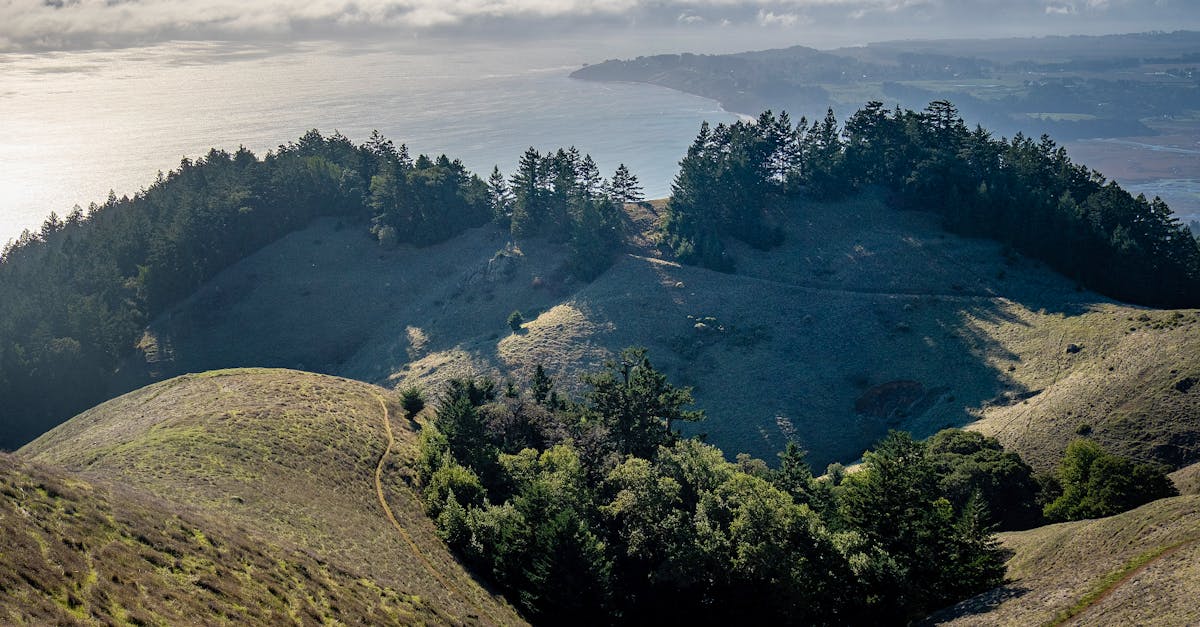 découvrez ce qu'est la propagation, ses différents types et son importance dans divers domaines comme la science, la nature ou les technologies. explications et exemples pour mieux comprendre le phénomène de propagation.