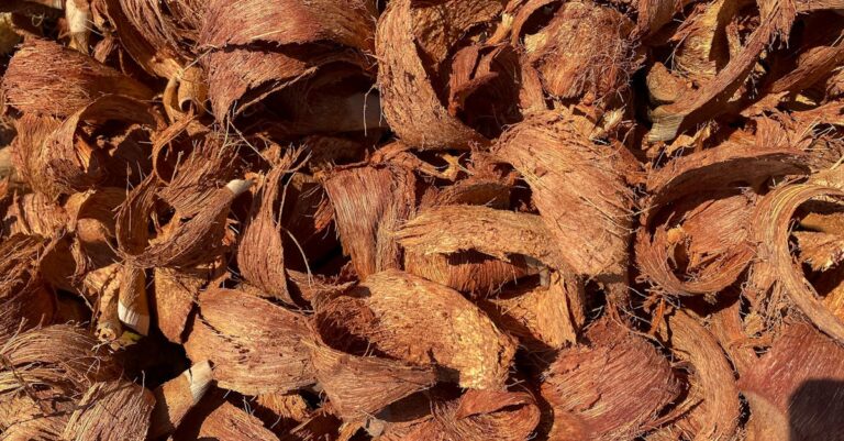 découvrez comment utiliser les asticots pour accélérer le compostage et enrichir votre jardin naturellement grâce à cette méthode écologique et efficace.