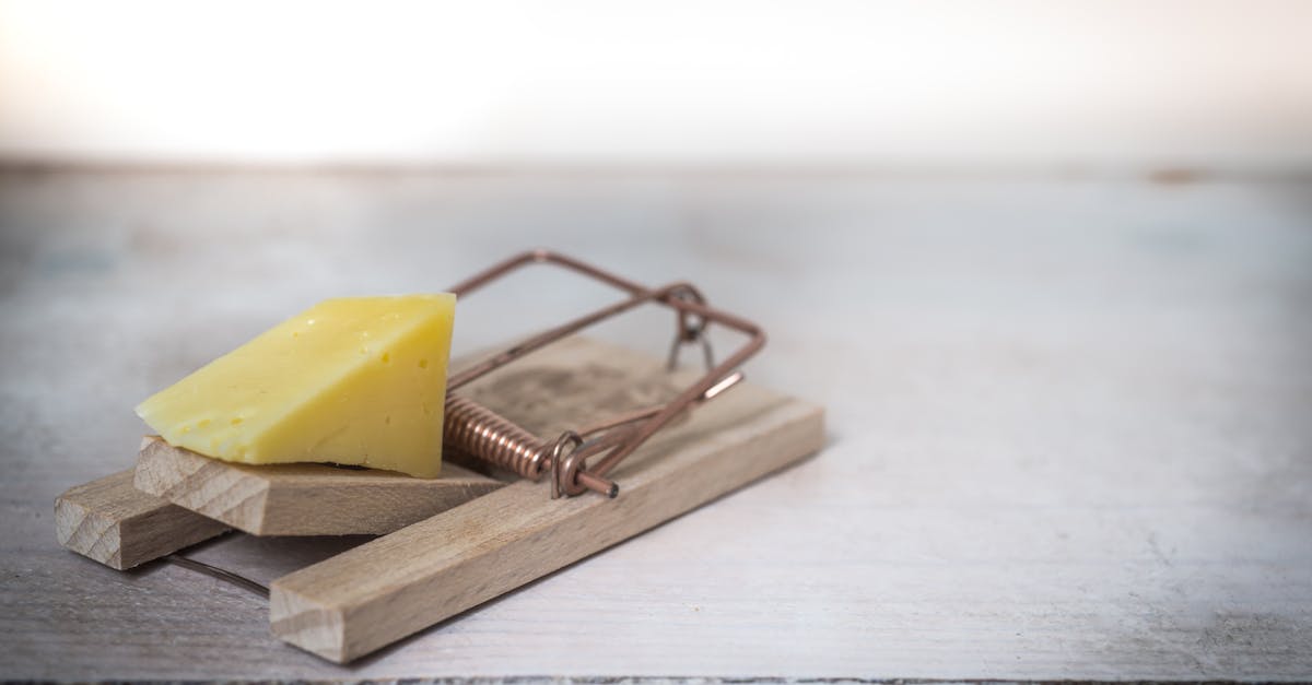 Des petits insectes marron dans votre cuisine ? Identifiezles et — free download