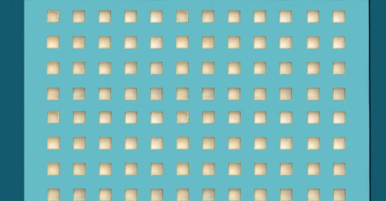 service professionnel d'enlèvement de ronces pour un jardin propre et dégagé. élimination rapide et efficace des broussailles indésirables.