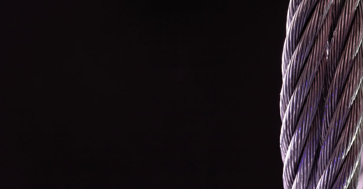 découvrez le cockchafer, un coléoptère emblématique du printemps, connu pour ses grandes tailles et son rôle dans l'écosystème.