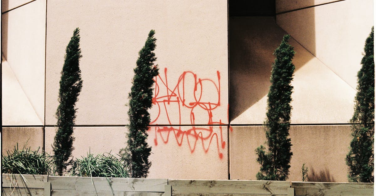 découvrez les risques liés à la plantation de cyprès et apprenez les meilleures pratiques pour assurer une croissance saine et durable de vos arbres.