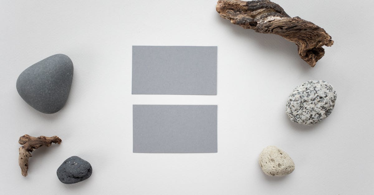 découvrez notre collection de décoration en bois flotté pour un intérieur naturel et chaleureux.