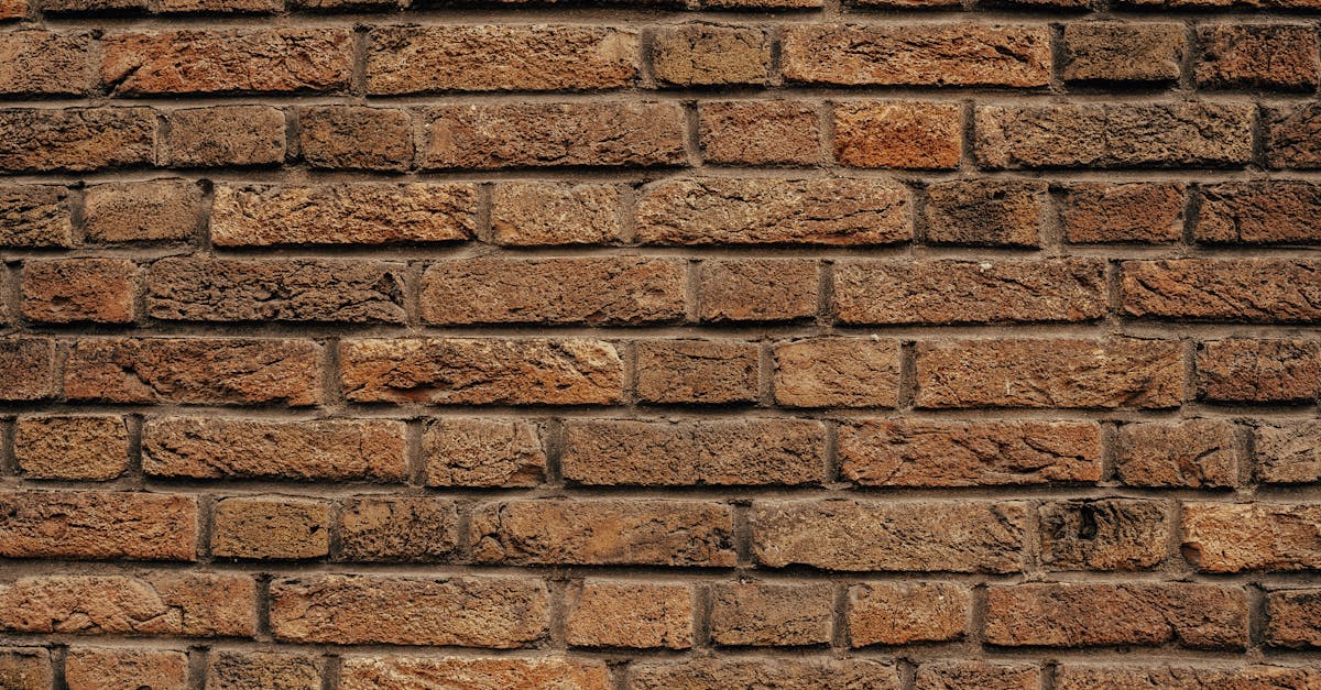 découvrez nos solutions de niches en plaques de plâtre (drywall) pour optimiser l'espace et apporter une touche design à vos murs intérieurs.