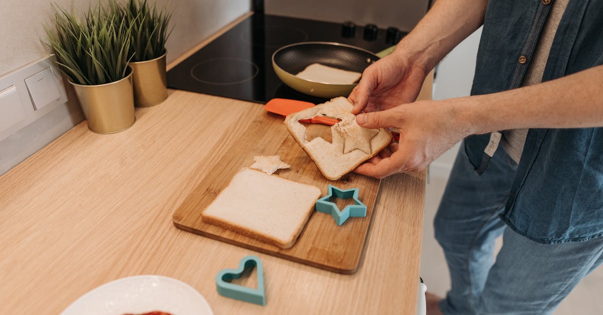 fleurs en forme d'étoile faciles à entretenir, parfaites pour embellir votre jardin sans effort.