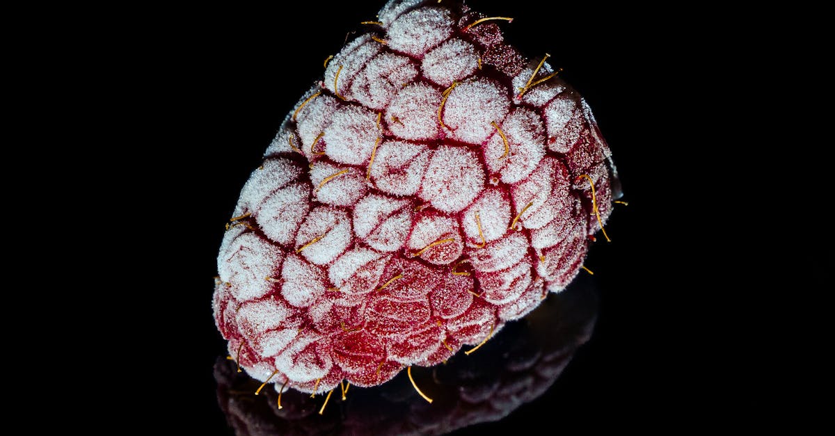 comprendre la détérioration des fruits : causes, signes et méthodes pour prolonger leur fraîcheur et éviter le gaspillage alimentaire.