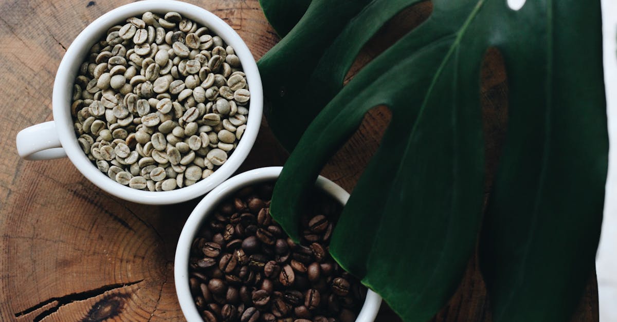 apprenez à planter des haricots verts facilement avec nos conseils pratiques pour un jardinage réussi et une récolte abondante.