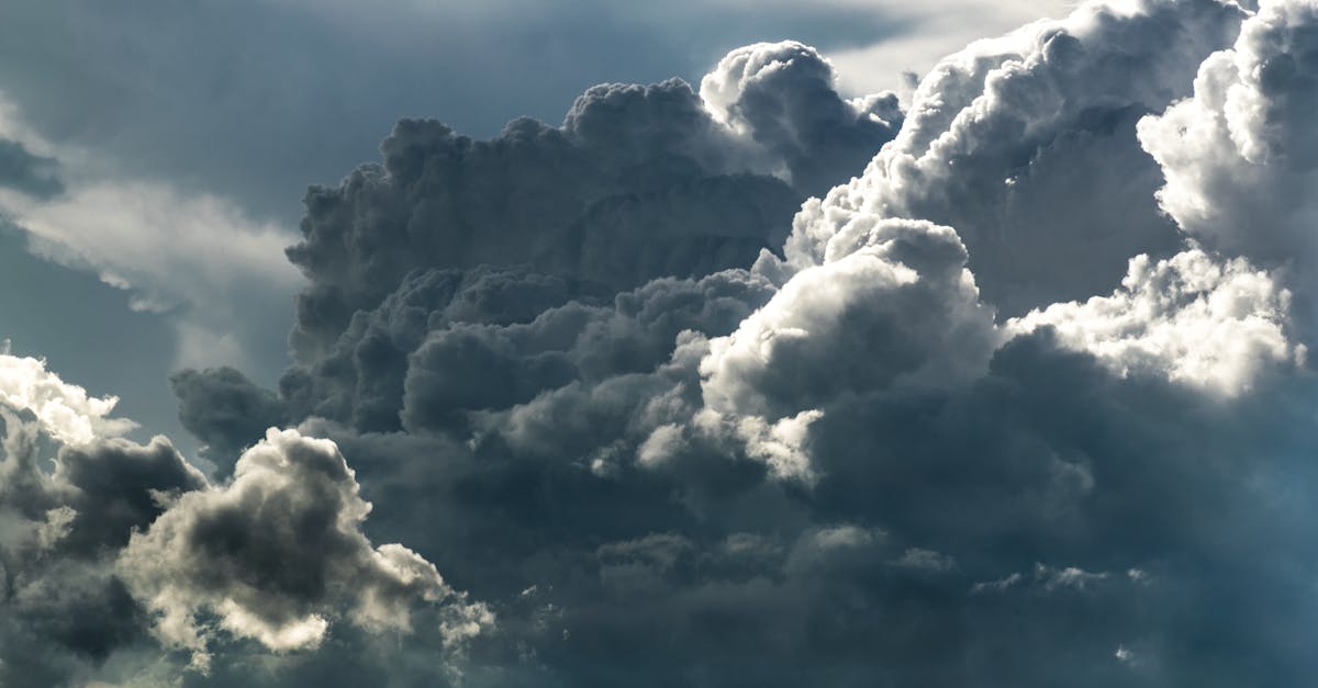 découvrez tout sur les insectes : leur diversité, leur rôle essentiel dans l'écosystème, et des astuces pour les observer et les protéger.