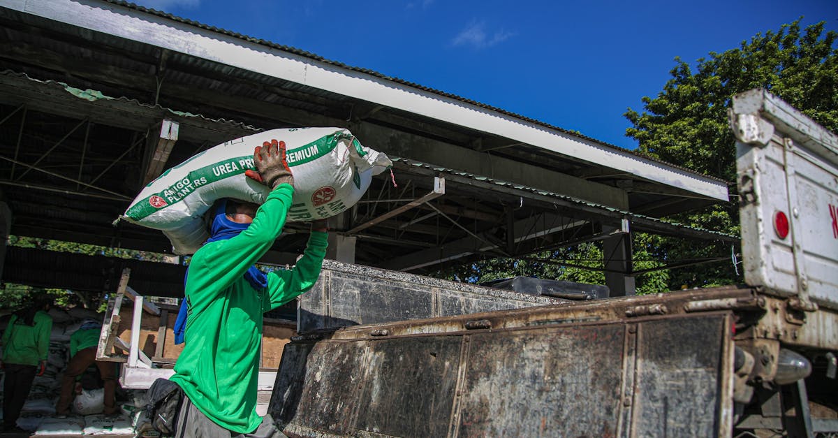 sélection de la table de charge ipn pour une analyse précise des profils en acier.