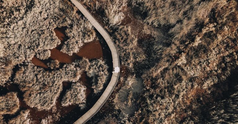 découvrez lifespan, une marque innovante dédiée à améliorer votre bien-être et votre forme grâce à des équipements de fitness de haute qualité.