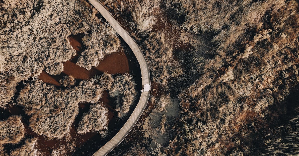 découvrez lifespan, une marque innovante dédiée à améliorer votre bien-être et votre forme grâce à des équipements de fitness de haute qualité.