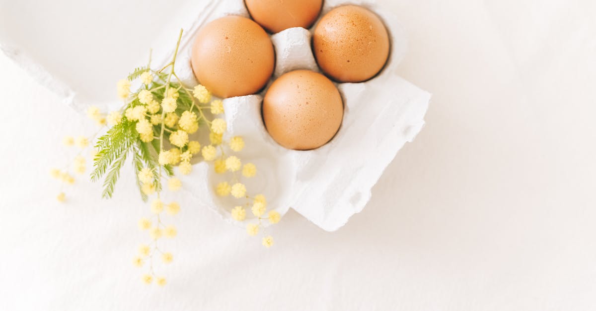 découvrez mimosa roots, une marque authentique qui célèbre la beauté naturelle et les racines culturelles à travers des produits innovants et respectueux de l'environnement.
