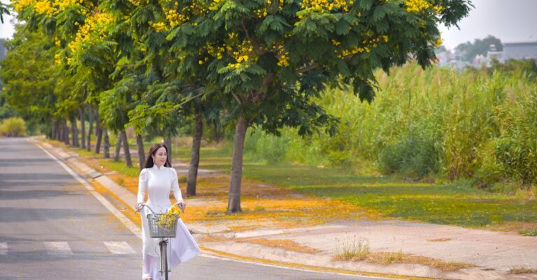 découvrez les racines de mimosa, leurs bienfaits et utilisations pour la santé et le bien-être.