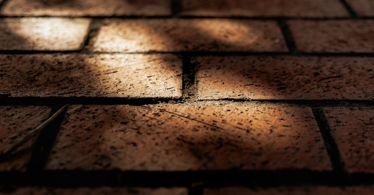 découvrez nos solutions de pavage durables et esthétiques pour embellir et sécuriser vos espaces extérieurs.