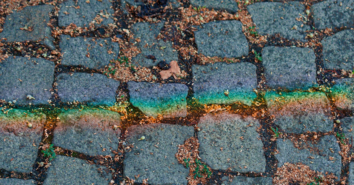 découvrez nos solutions de pavage durables et esthétiques pour embellir vos allées, terrasses et espaces extérieurs.