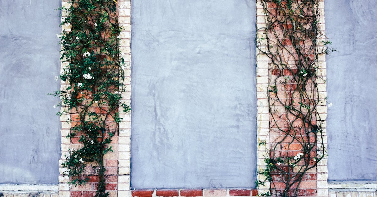 découvrez tout sur le plâtre : ses utilisations, types et conseils pour des réparations efficaces et durables dans votre maison.