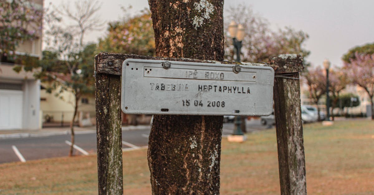 identification des excréments de belette : guide pour reconnaître les traces et indices laissés par ce mustélidé dans la nature.