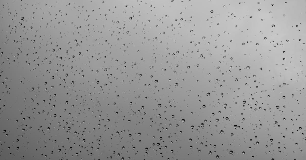 découvrez tout ce qu'il faut savoir sur les précipitations : types, formation et impact sur le climat.