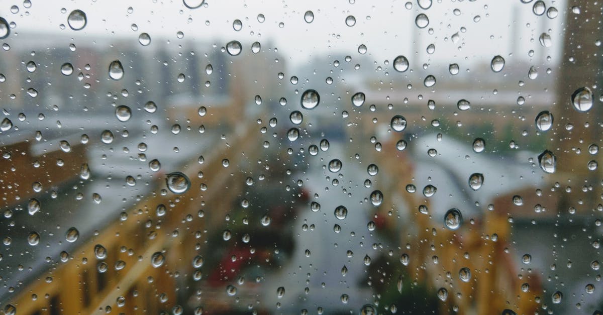 découvrez tout sur les précipitations : types, causes, impacts climatiques et météorologiques, ainsi que leur importance pour l'environnement.