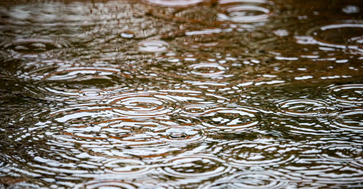 découvrez tout sur les précipitations : types, causes et impact sur le climat. informez-vous sur les phénomènes météorologiques liés à la pluie, neige, grêle et plus encore.