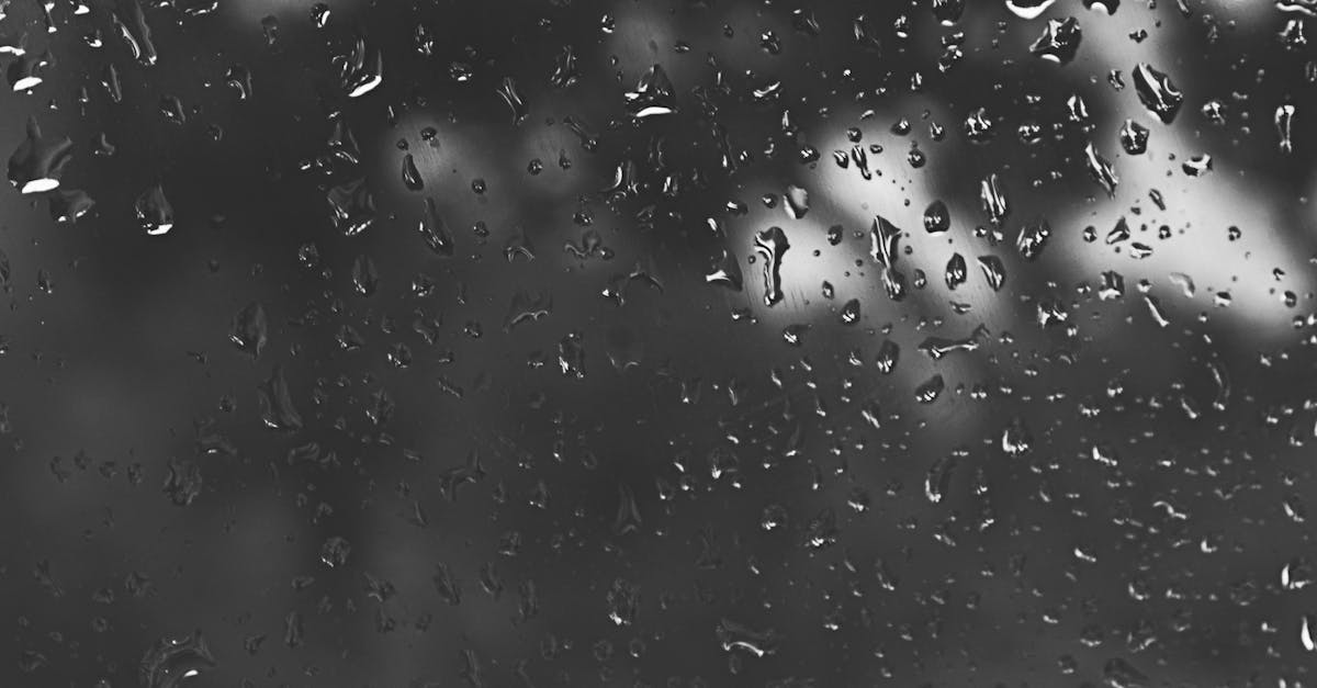 découvrez tout sur les précipitations : types, causes, effets et importance dans le cycle de l'eau.