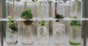 découvrez tout sur la période de propagation, son importance et son impact dans divers domaines scientifiques et technologiques.