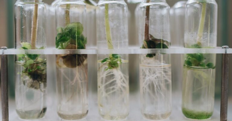 découvrez tout sur la période de propagation, son importance et son impact dans divers domaines scientifiques et technologiques.