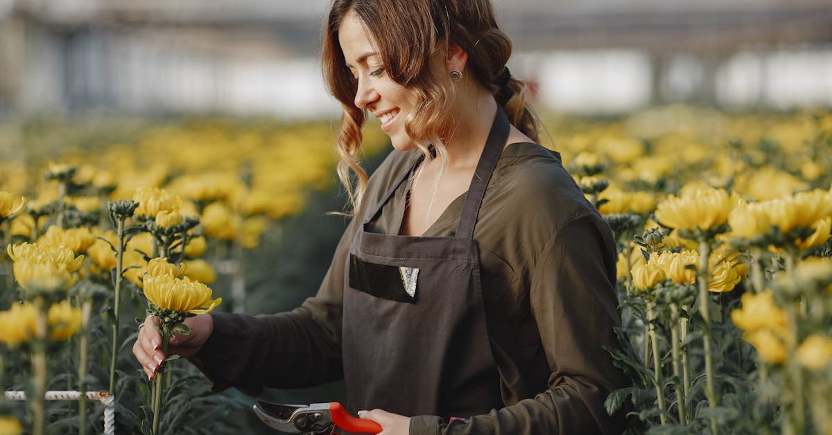 découvrez les meilleures techniques de taille pour le prunus afin de favoriser une croissance saine et une floraison abondante.