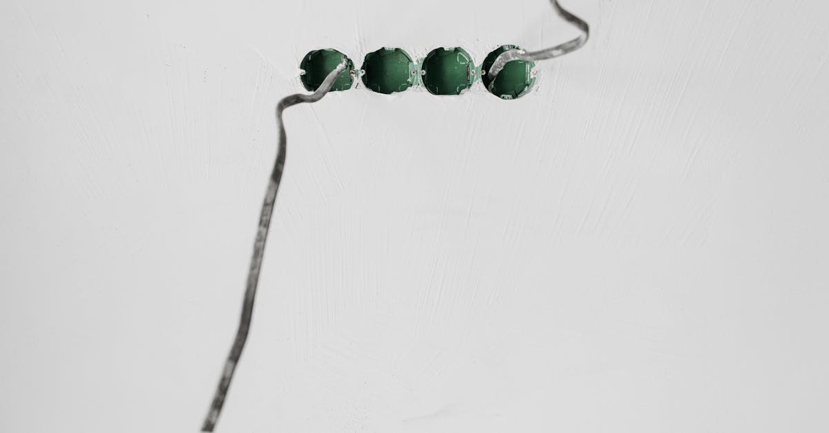 découvrez tout sur les salamandres : habitat, caractéristiques, comportement et espèces. apprenez à mieux connaître ces amphibiens fascinants.