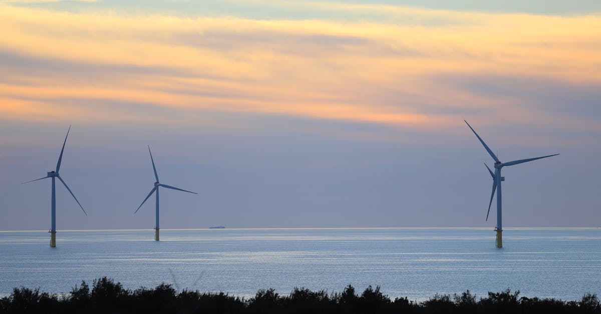 découvrez la rentabilité des éoliennes domestiques silencieuses en france : performance, économies d'énergie et avantages pour un investissement durable.