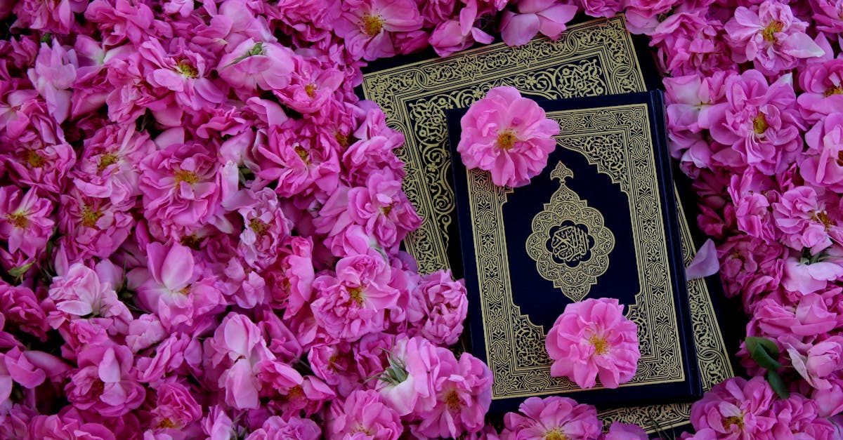 découvrez la signification spirituelle des fleurs dans l'islam et leur symbolisme profond au sein de la culture et de la foi musulmane.