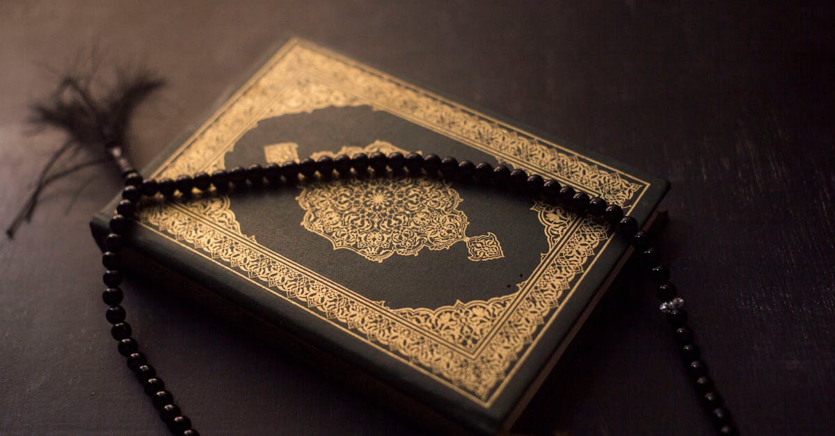 découvrez la symbolique spirituelle des fleurs dans l'islam et leur signification profonde dans la foi et la culture musulmanes.