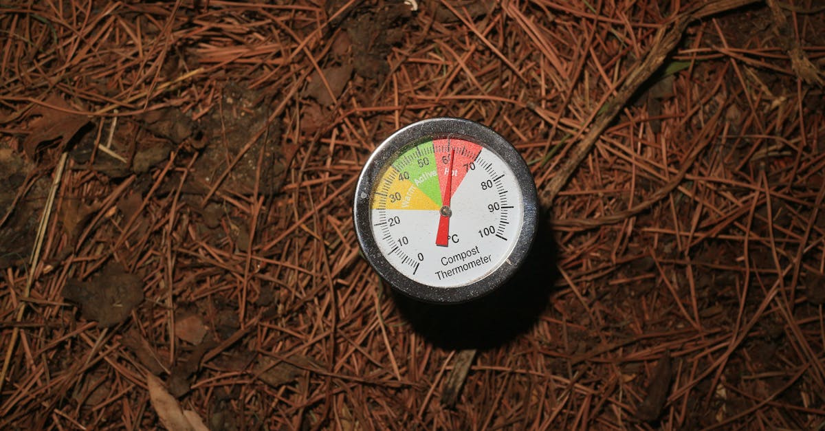 découvrez comment utiliser des asticots pour accélérer le compostage et transformer vos déchets organiques en compost riche plus rapidement.